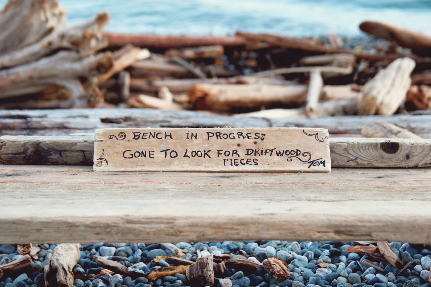 Ways To Use Driftwood In A Beach-Themed Garden