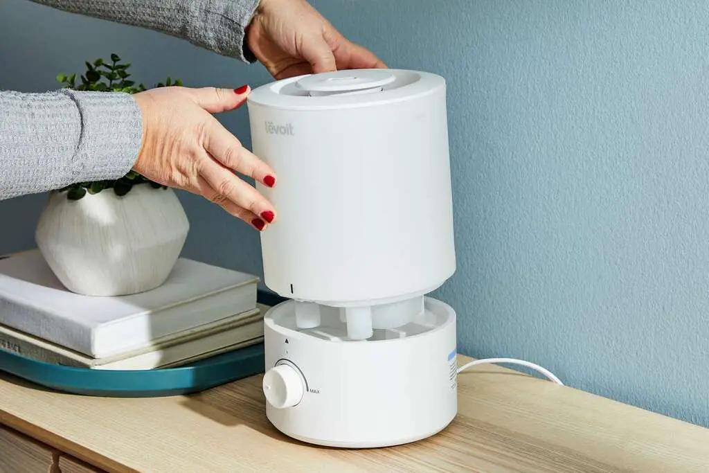 11 Things to Consider When Buying a Room Humidifier