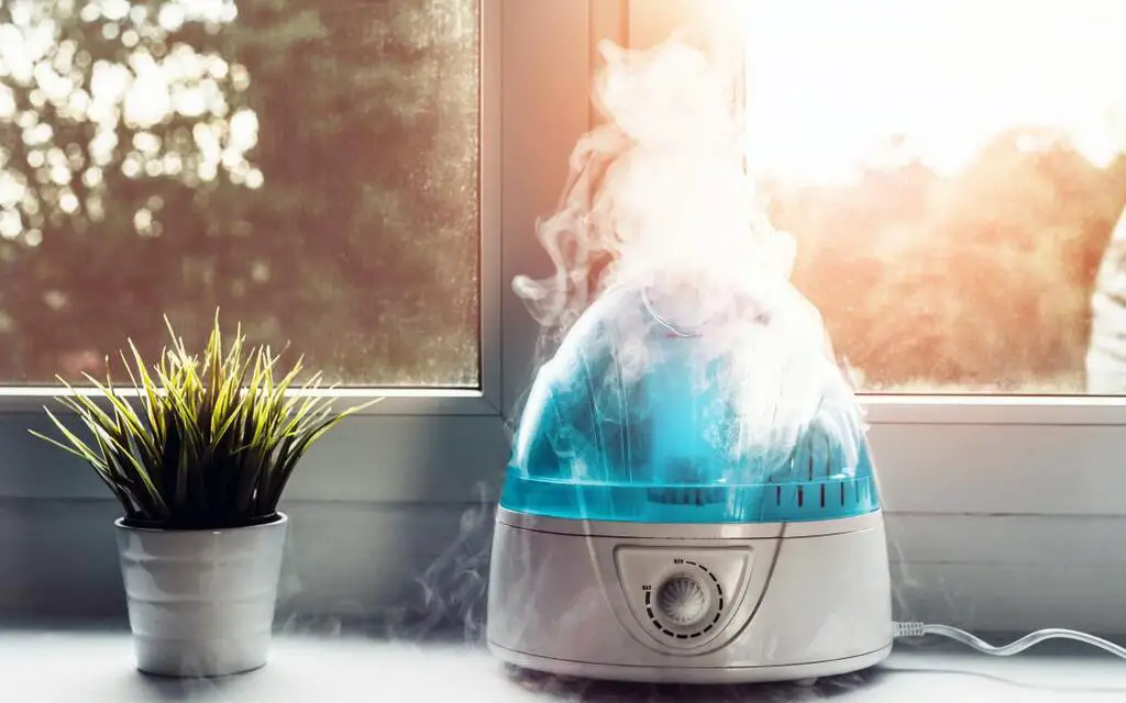 Dehumidifier Vs. Humidifier: Which Is Best For Your Home?