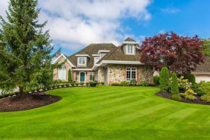 Top Lawn Types for Every Home: Choose the Best Grass for Your Yard