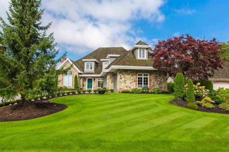 Top Lawn Types for Every Home: Choose the Best Grass for Your Yard