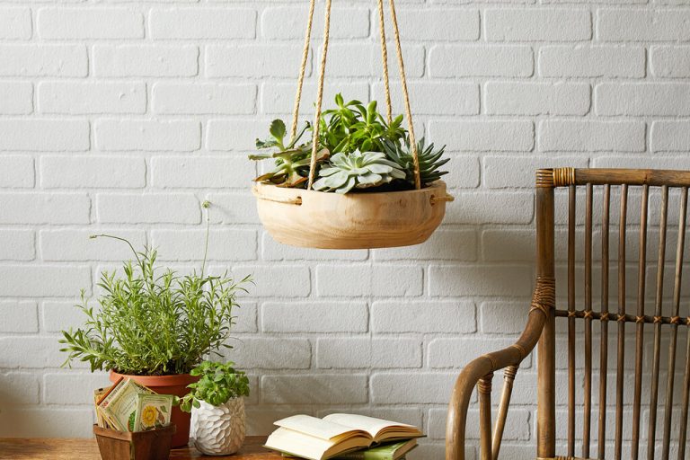 Top Crafting Ideas with Wood: Easy DIY Projects for Beginners