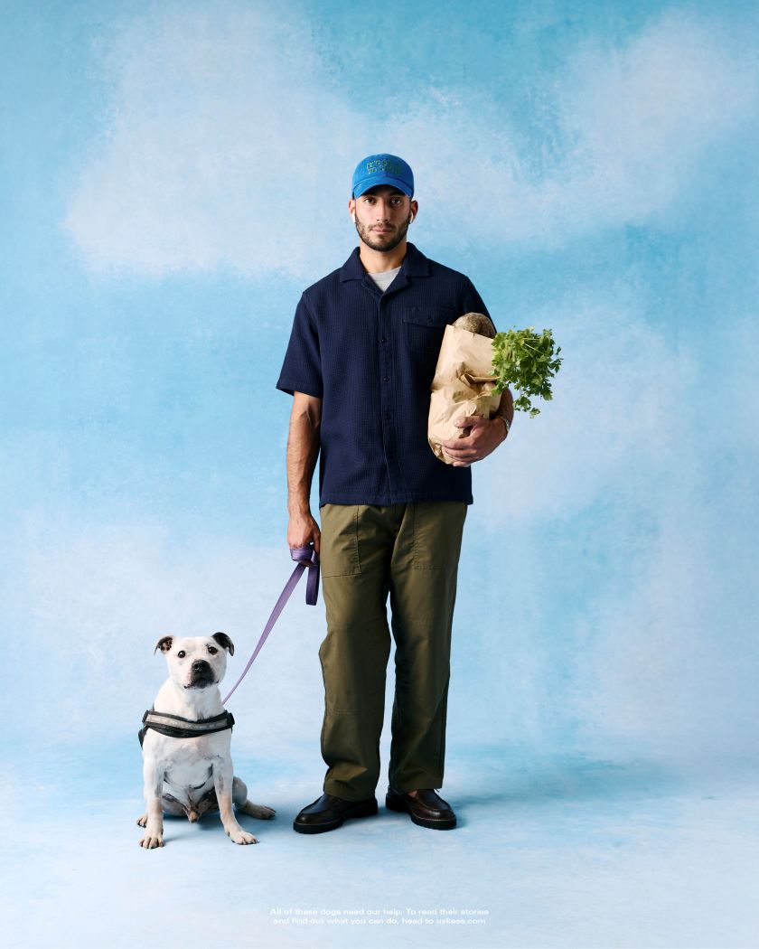 Uskees celebrates rescue dogs with playful ‘Best in Show’ campaign for Dogs 4 Rescue