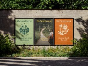 Studio Glass rebrands The New Forest with folklore, fungi creams and a whole lot of heart