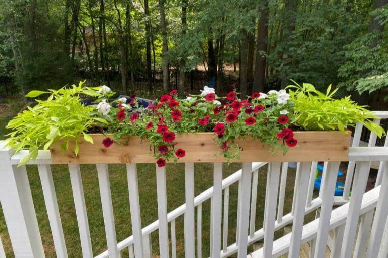 How to Use Flower Boxes on Railings for a Beautiful Outdoor Space