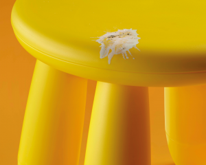 IKEA Brighton opens with a love letter to the city’s most divisive locals
