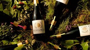 This folkloric wine branding highlights the value of handmade illustration