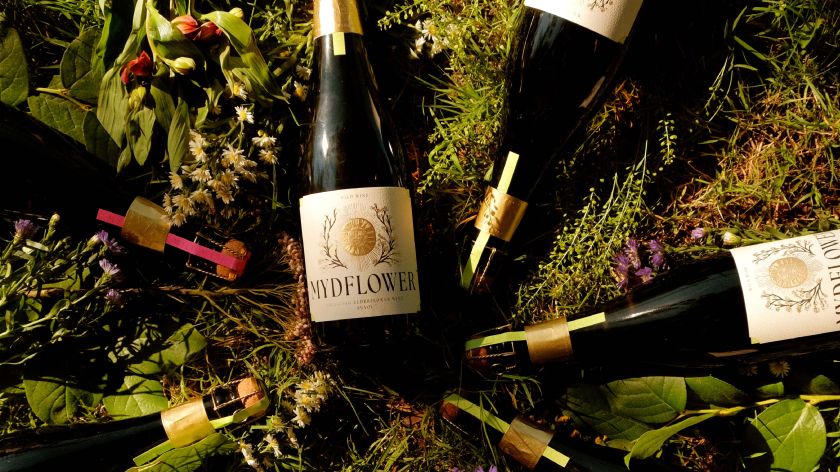 This folkloric wine branding highlights the value of handmade illustration