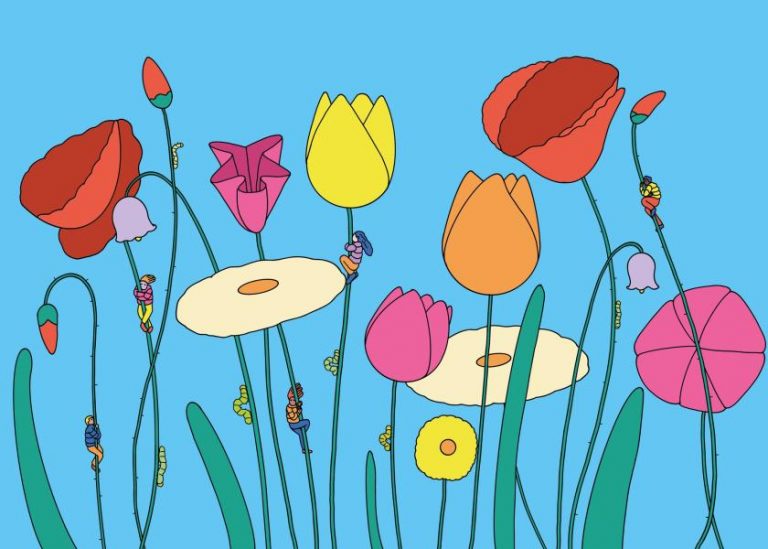 The naturally refreshing visual language of Sour Soda Studio