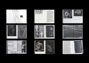 Meet Zahari Dimitrov, the designer helping Bulgaria’s cultural organisations build a future – and an archive