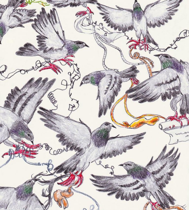 ‘I just love dogs’: Gaia Alari on her wobbly, tactile drawings of animals, bodies and emotions