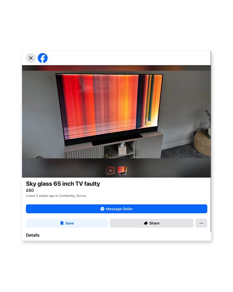 Casey Roarty digs through Facebook Marketplace listings and transforms his findings into art
